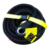 SUFA ELASTICA ARB BLACK SNAKE