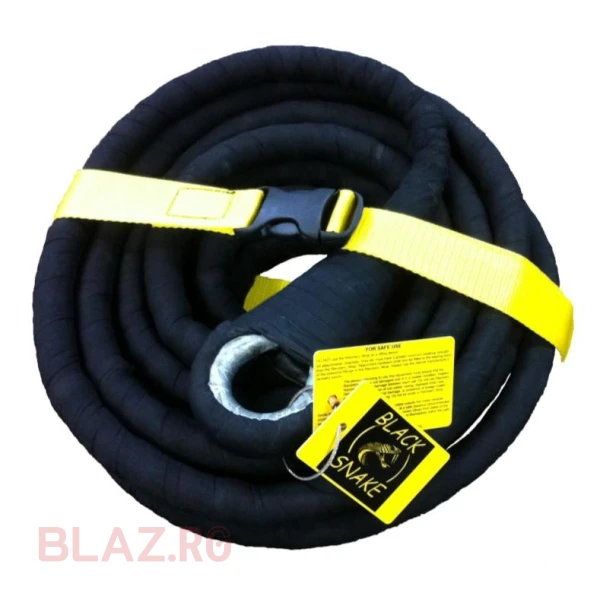 SUFA ELASTICA ARB BLACK SNAKE